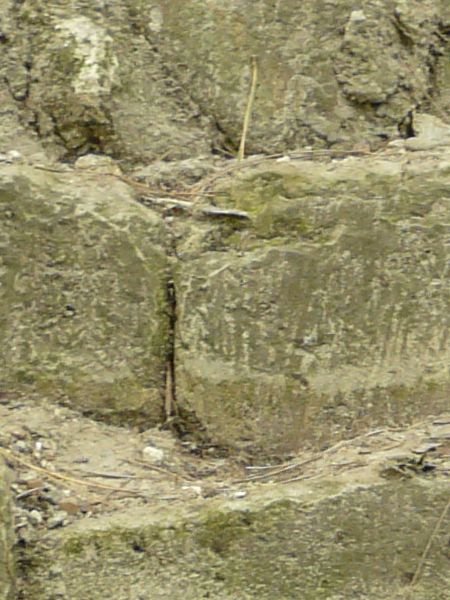 Texture of stairs made of worn, grey stone with some weeds in surface.