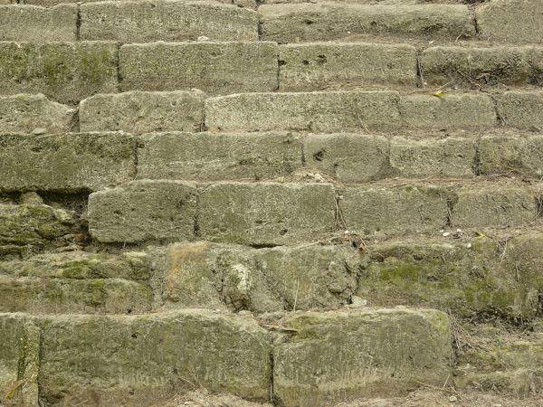 Texture of stairs made of worn, grey stone with some weeds in surface.