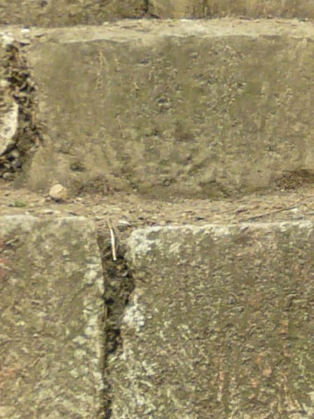 Texture of stairs made of worn, grey stone with some weeds in surface.