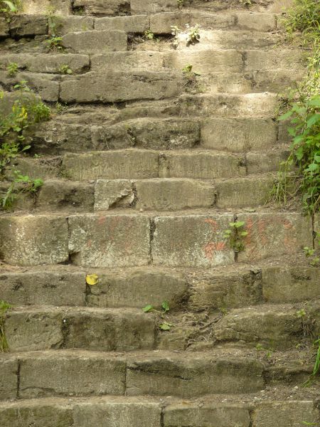 Texture of stairs made of worn, grey stone with some weeds in surface.