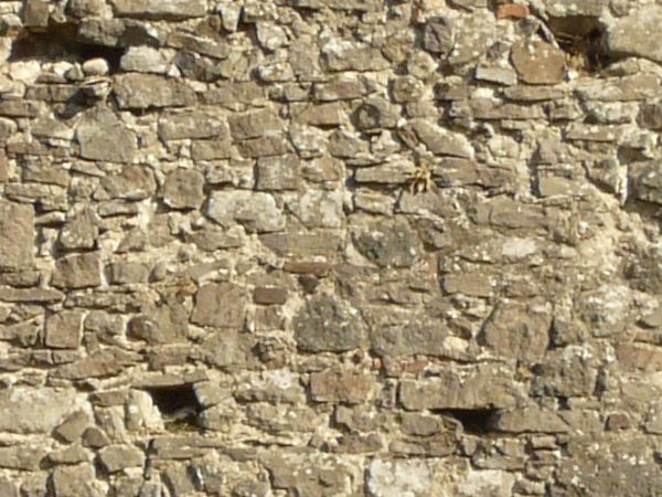 Medieval texture of irregular, stone wall with holes and slightly worn surface.