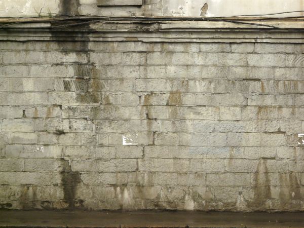 Old brick wall painted white with dark spots across the surface.