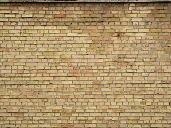 Worn brick wall of tan color with dark grey cement and spots throughout surface.