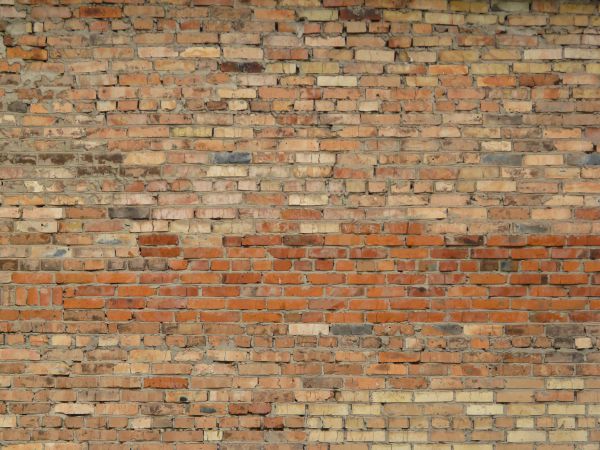 Wall of beige and red bricks set loosely in grey cement with large spots and holes.