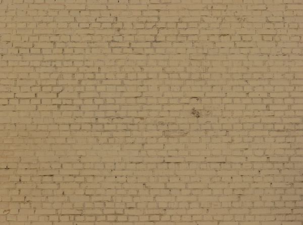 Brick wall laid evenly and painted over in beige color.