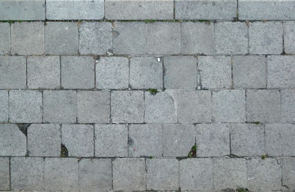 Pavement of square, grey tiles with cracks and some vegetation.