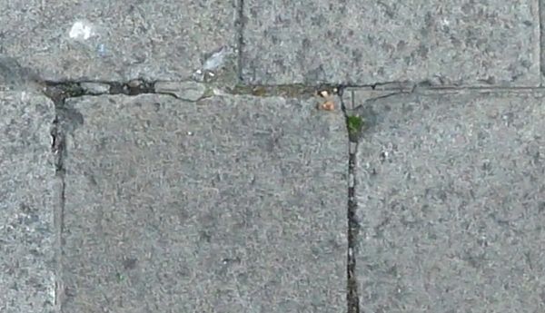Pavement of square, grey tiles with cracks and some vegetation.