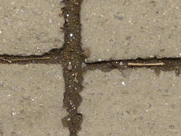 Worn pavement texture of rectangular bricks in packed dirt with cracks in surface.