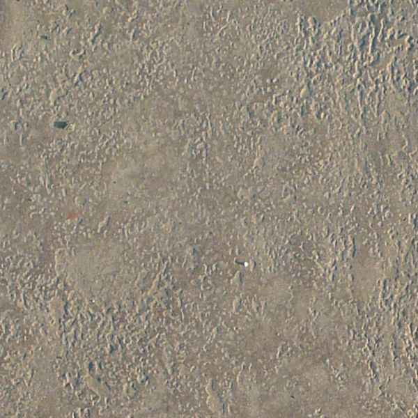 Pavement texture containing square, grey tiles with rough surface and some vegetation in cracks.