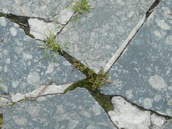 Pavement made of broken stone tile pieces and installed in crazy formation.