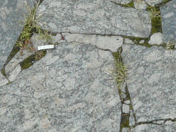 Pavement made of broken stone tile pieces and installed in crazy formation.