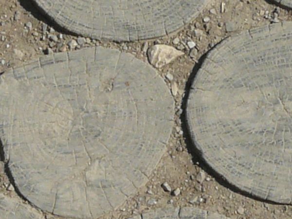 Pavement consisting of round, tree slices set in packed dirt.