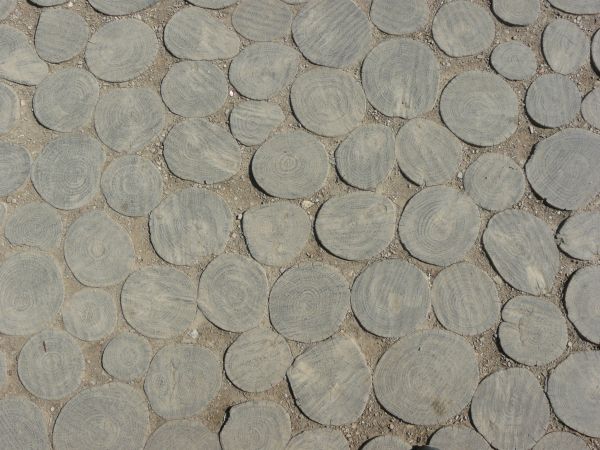 Pavement consisting of round, tree slices set in packed dirt.