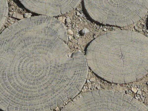 Pavement consisting of round, tree slices set in packed dirt.