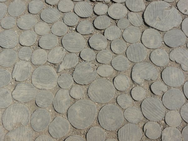 Pavement consisting of round, tree slices set in packed dirt.