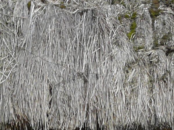 Small, wooden cabin with worn surface and thatched, grey roof.