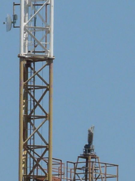 White and brown tower texture, made up of a lattice of painted steel bars. Various attenae and small dishes are attached throughout.