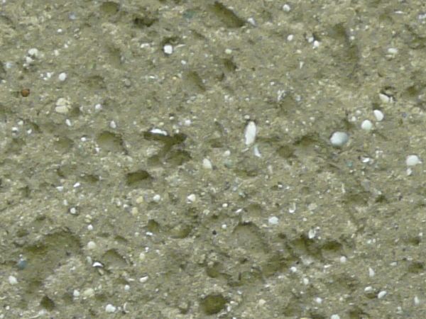 Concrete texture in unnatural, pale green color with very rough surface and small holes.