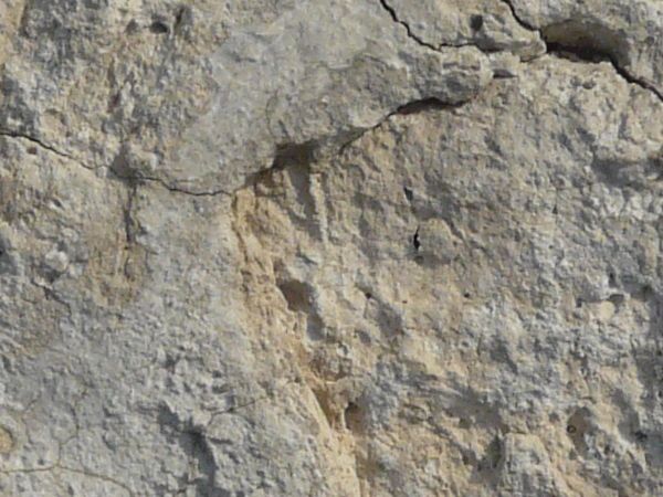 Rough concrete texture in white color with irregular surface and some cracks throughout.