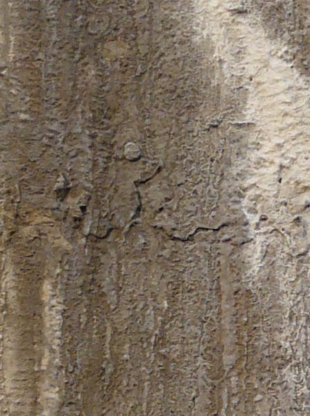Concrete texture in light brown tone with very rough, irregular surface and dark, vertical streaks.