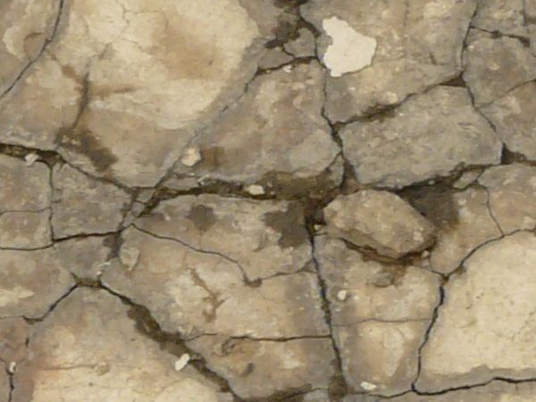 Texture of very damaged concrete slab. Concrete is cracked and crumbling around edges.