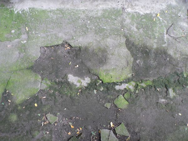 Concrete floor texture with very damaged surface and green stains.