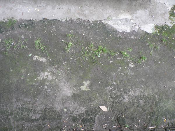 Concrete floor texture with very damaged surface and green stains.