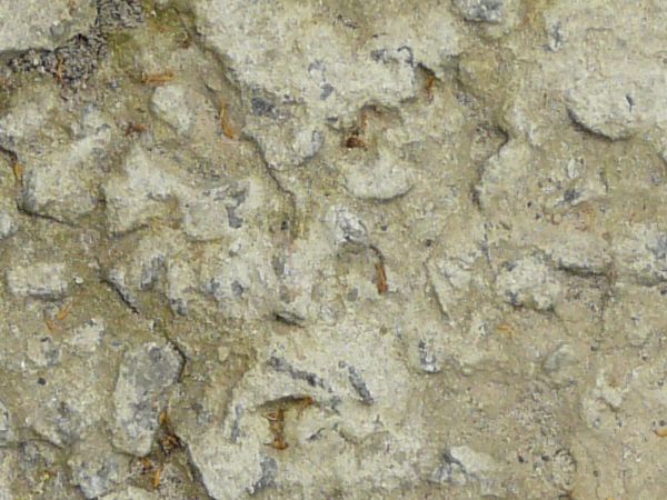 Concrete ground texture in light grey tone with extremely damaged surface and cracks.