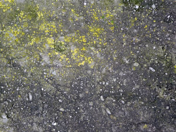 Rough concrete ground texture in dark grey tone with yellow spots on surface.