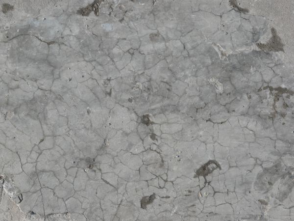 Flat concrete ground texture in light grey tone with myriads of thin cracks throughout surface.