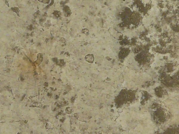 Concrete ground texture in light beige tone with rough surface and brown dirt spots throughout.