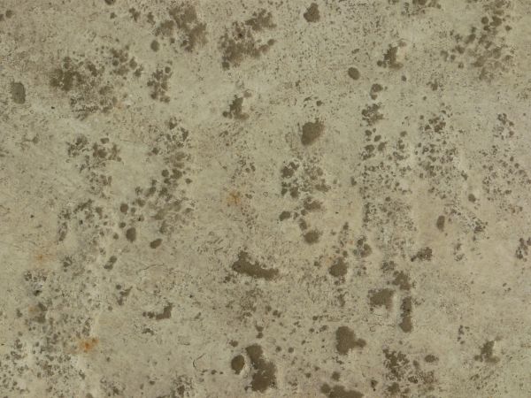 Concrete ground texture in light beige tone with rough surface and brown dirt spots throughout.