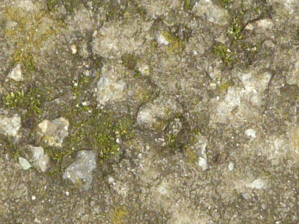 Grey concrete floor texture with rocks and green algae throughout surface.