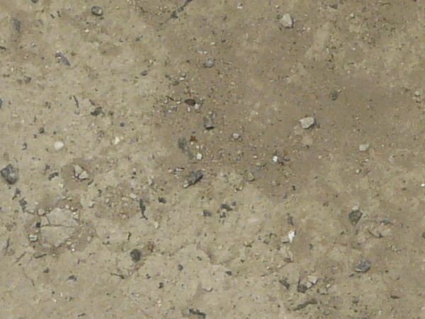 Rough concrete floor texture in light beige tone with small, grey rocks embedded in surface.