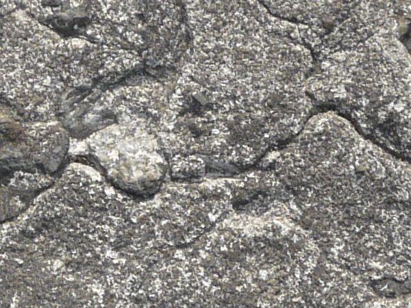 Rugged concrete floor texture in dark grey tone with cracks and bumps on surface.