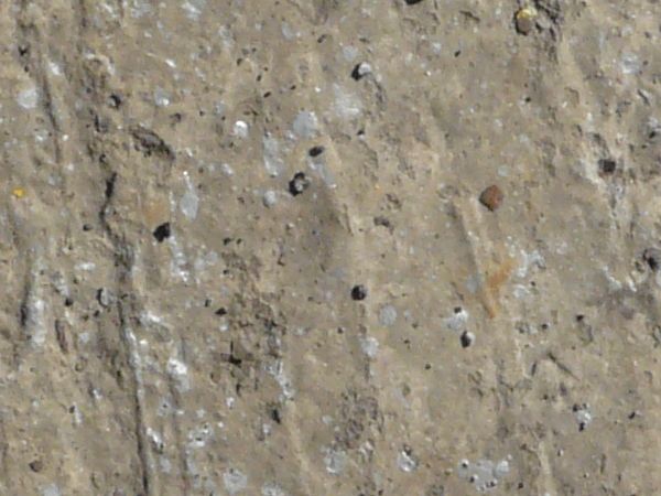 Rugged concrete ground texture with grey paint spot and litter on surface.