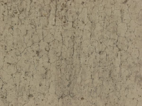 Dirty concrete floor texture in light beige tone with small cracks throughout surface.