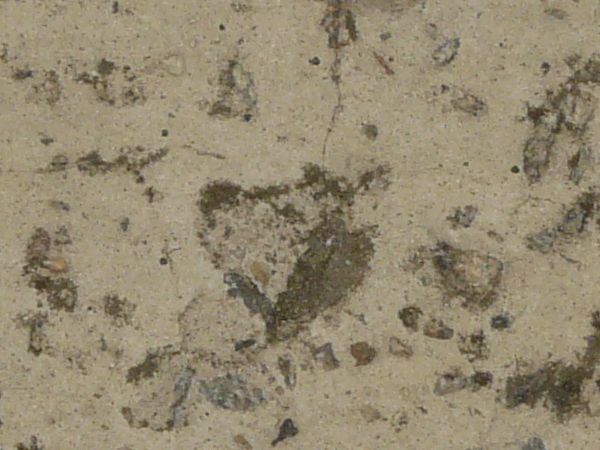 Concrete floor texture in light beige tone with few cracks and dirty surface.
