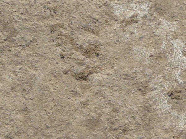 Concrete ground texture in light brown tone with slightly rough, irregular surface.