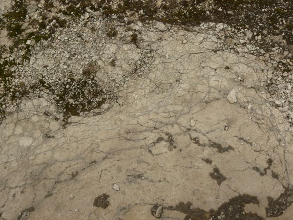 Concrete ground texture in light beige tone with very rough, decrepit surface exposing dirt.