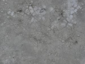 Flat concrete texture in light grey tone with myriads of small cracks throughout surface.