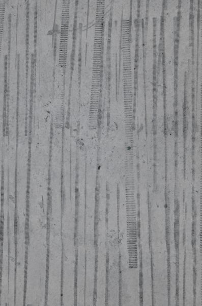 concrete floor  texture