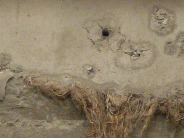 massive concrete constructions  texture