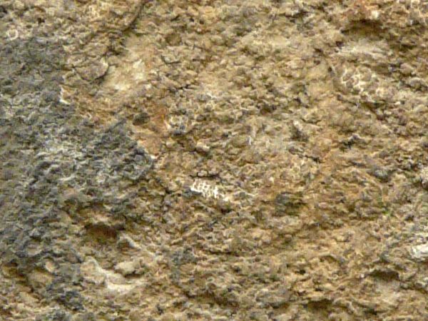 rough concrete  texture