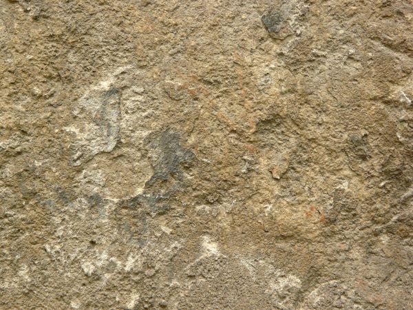 rough concrete  texture