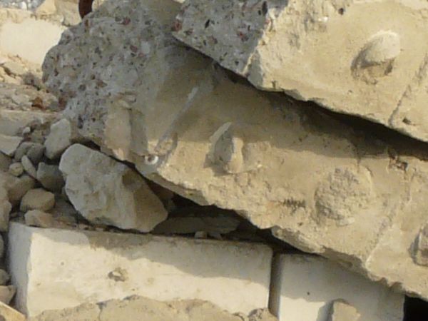 various debris and garbage  texture