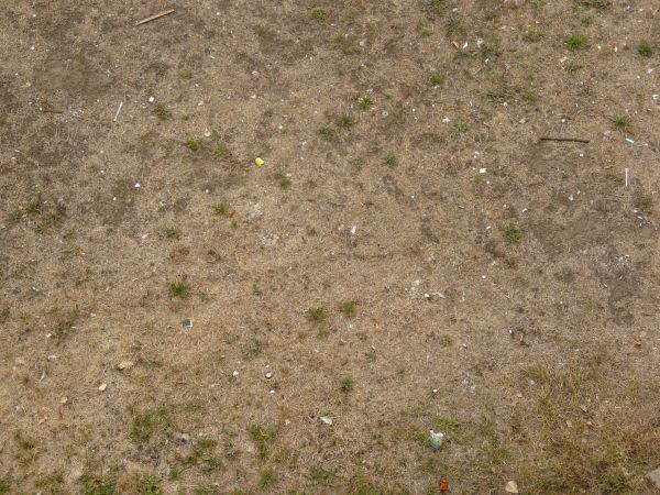 Tan, dry grass texture with small, rare tufts of green grass.