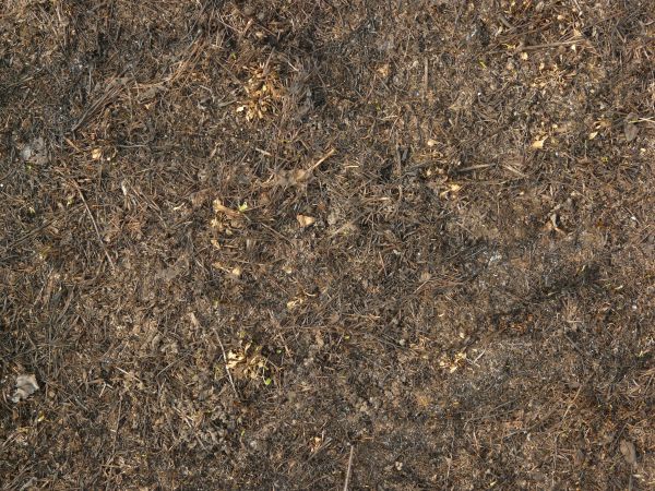 Ground texture containing dry twigs and grass among dark, arid dirt.