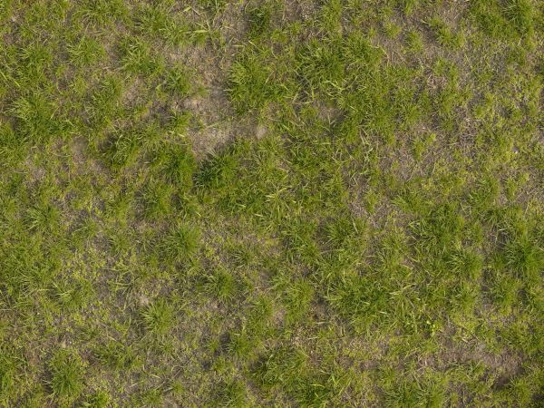 Texture consisting of inconsistent grass of varying types and lengths.
