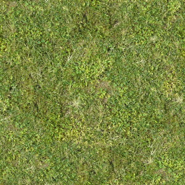 Seamless turf texture containing mixed grass types, including plants with leaves.